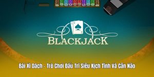 Bài Xì Dách - Trò Chơi Đấu Trí Siêu Kịch Tính Và Cân Não