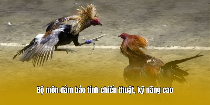 Bộ môn đảm bảo tính chiến thuật, kỹ năng cao