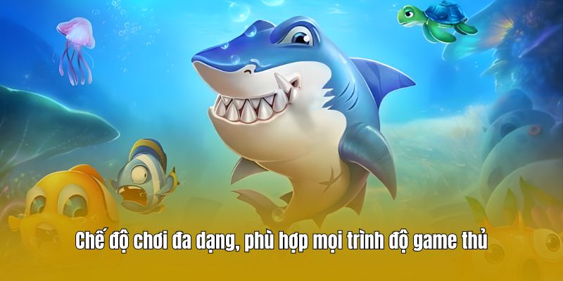 Chế độ chơi đa dạng, phù hợp mọi trình độ game thủ