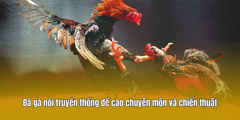 Đá gà nòi truyền thống đề cao chuyên môn và chiến thuật