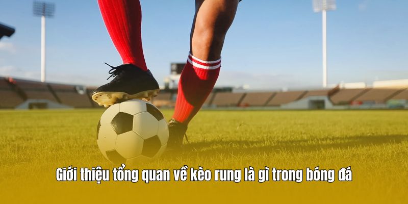 Giới thiệu tổng quan về kèo rung là gì trong bóng đá