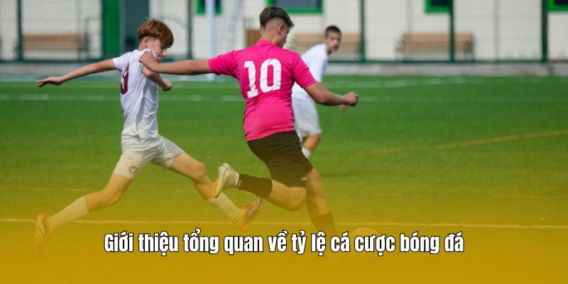 Giới thiệu tổng quan về tỷ lệ cá cược bóng đá