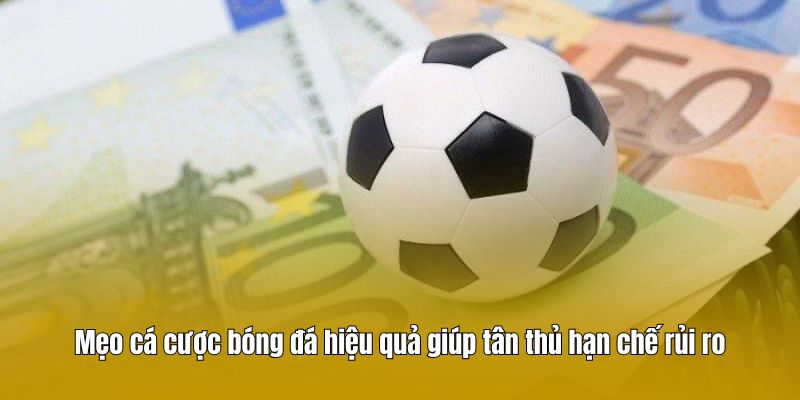 Mẹo cá cược bóng đá hiệu quả giúp tân thủ hạn chế rủi ro