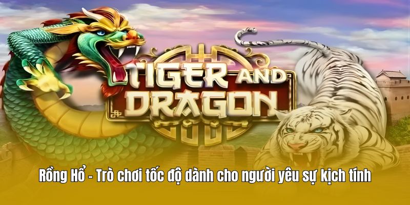 Rồng Hổ – Trò chơi tốc độ dành cho người yêu sự kịch tính