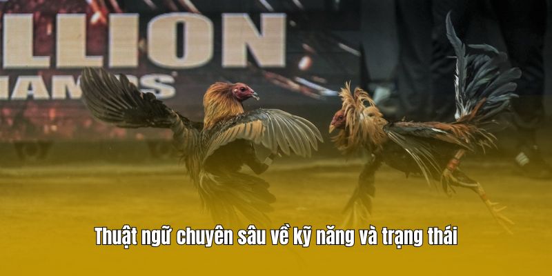 Thuật ngữ chuyên sâu về kỹ năng và trạng thái