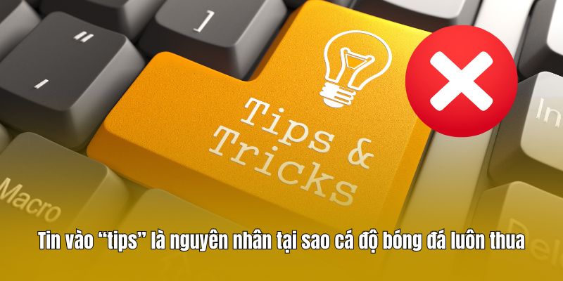 Tin vào “tips” là nguyên nhân tại sao cá độ bóng đá luôn thua