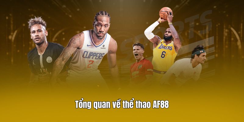 Tổng quan về thể thao AF88