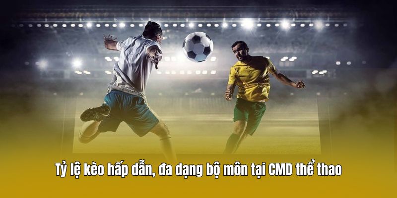 Tỷ lệ kèo hấp dẫn, đa dạng bộ môn tại CMD thể thao