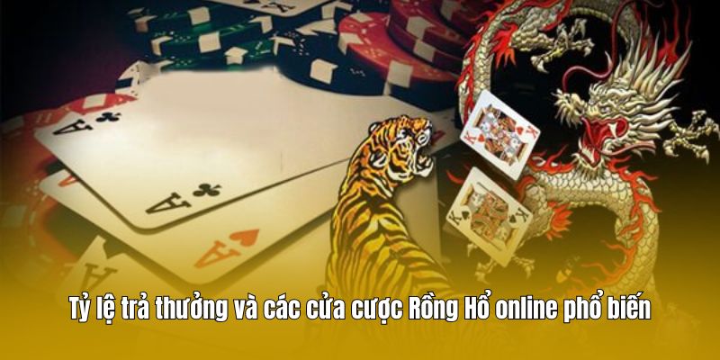 Tỷ lệ trả thưởng và các cửa cược Rồng Hổ online phổ biến